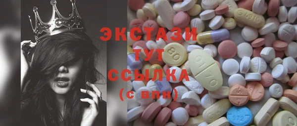 гидра Богородск