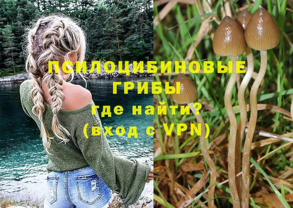 гидра Богородск