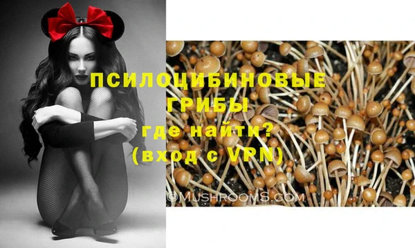 гидра Богородск