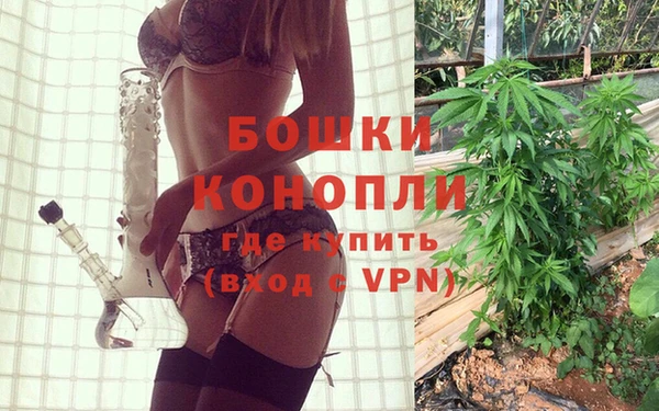 ГАЛЛЮЦИНОГЕННЫЕ ГРИБЫ Богданович
