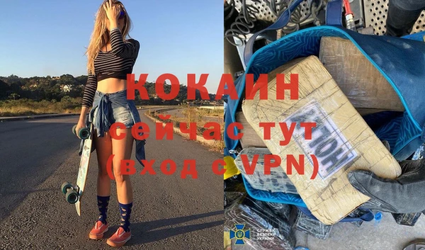 ГАЛЛЮЦИНОГЕННЫЕ ГРИБЫ Богданович
