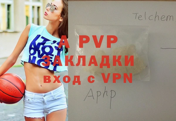 круглые Белокуриха