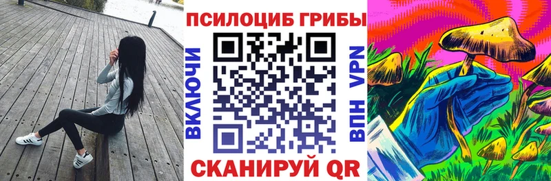 наркотики  Киреевск  Галлюциногенные грибы мицелий 